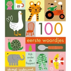 Kinderboeken*Boeken 100 Eerste woordjes Multi