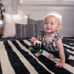 Auto's, Treinen & Garages|Speelgoed Auto's*Baby Einstein Curois Car Zen Multi