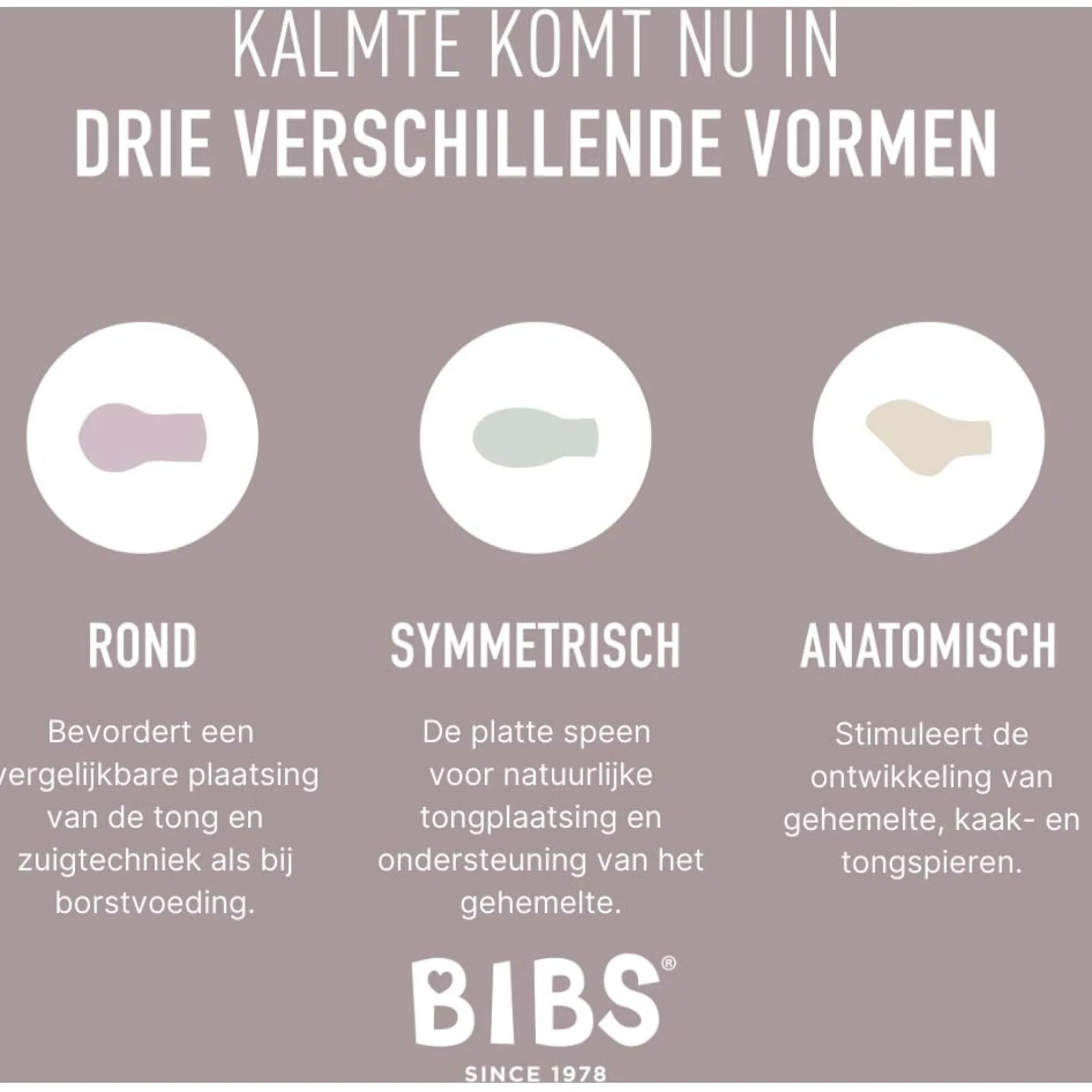 Fopspenen|Fopspenen & Accessoires*Bibs fopspeen Size 1 Try-it Collectie Sage