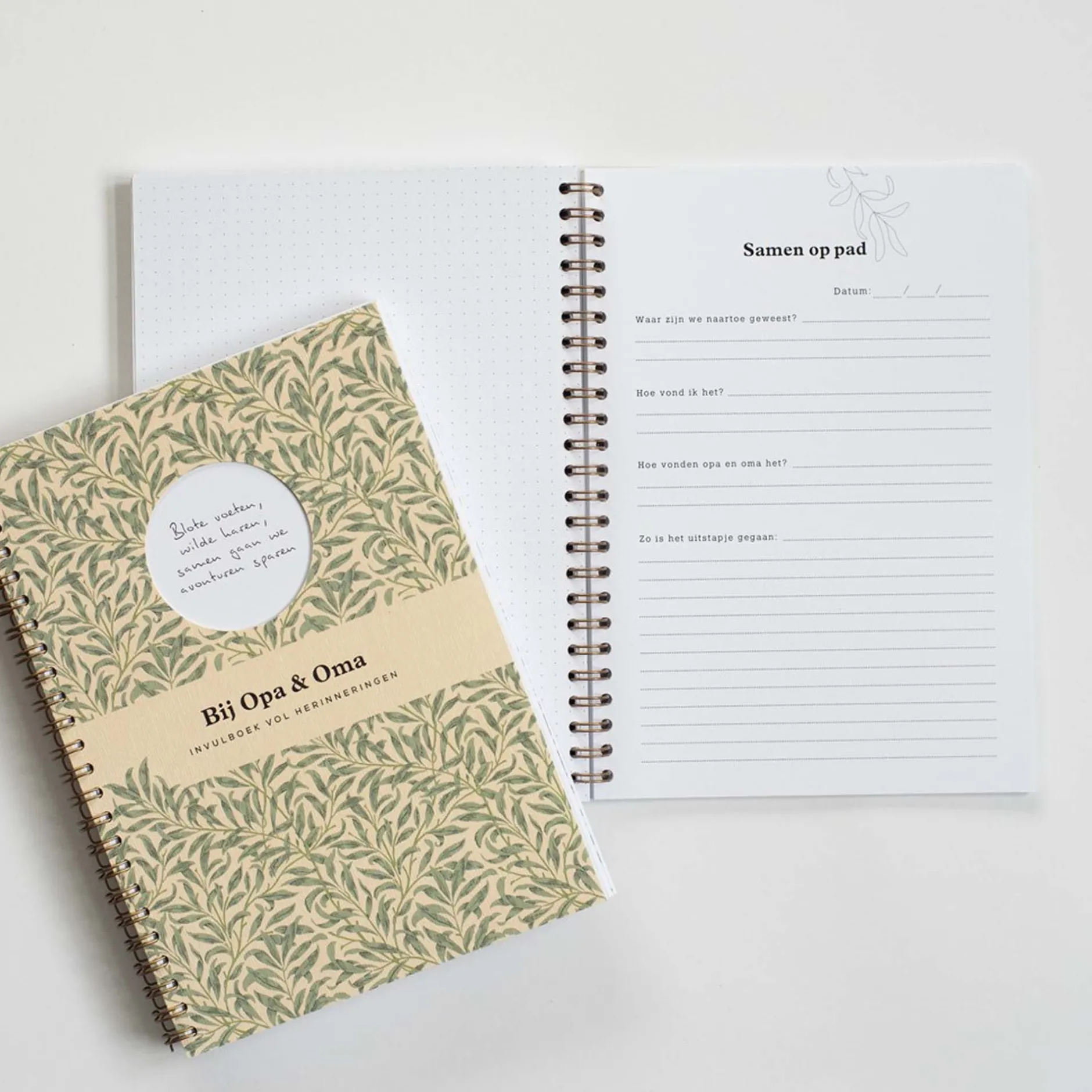 Invulboeken*Boeken Bij opa en oma - invulboek vol herinneringen Multi