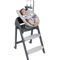 Kinderstoel Accessoires*Chicco Crescendo Lounger Midgrey