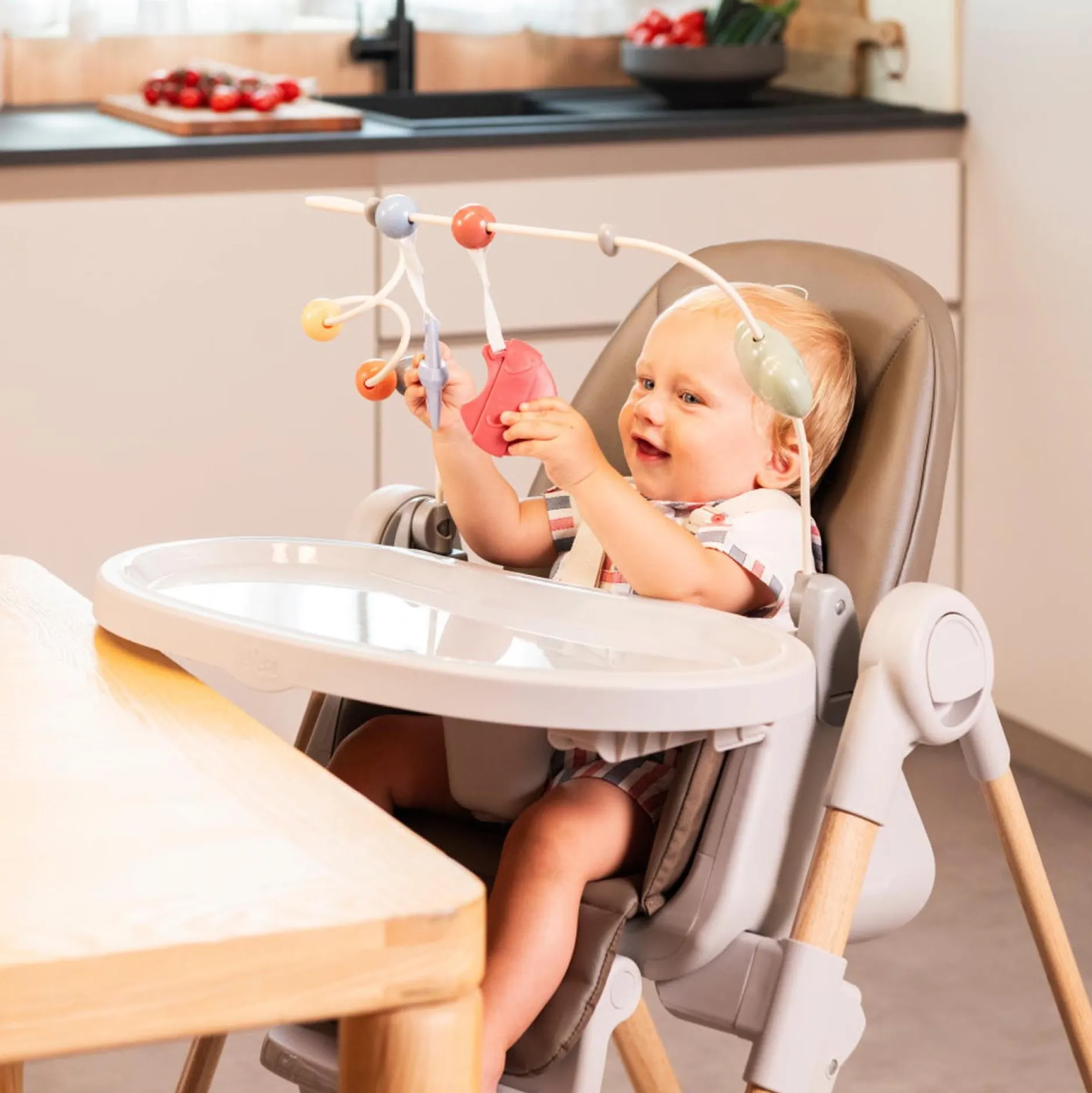 Kinderstoel Accessoires*Chicco Polly Armonia speelboog Multi Color