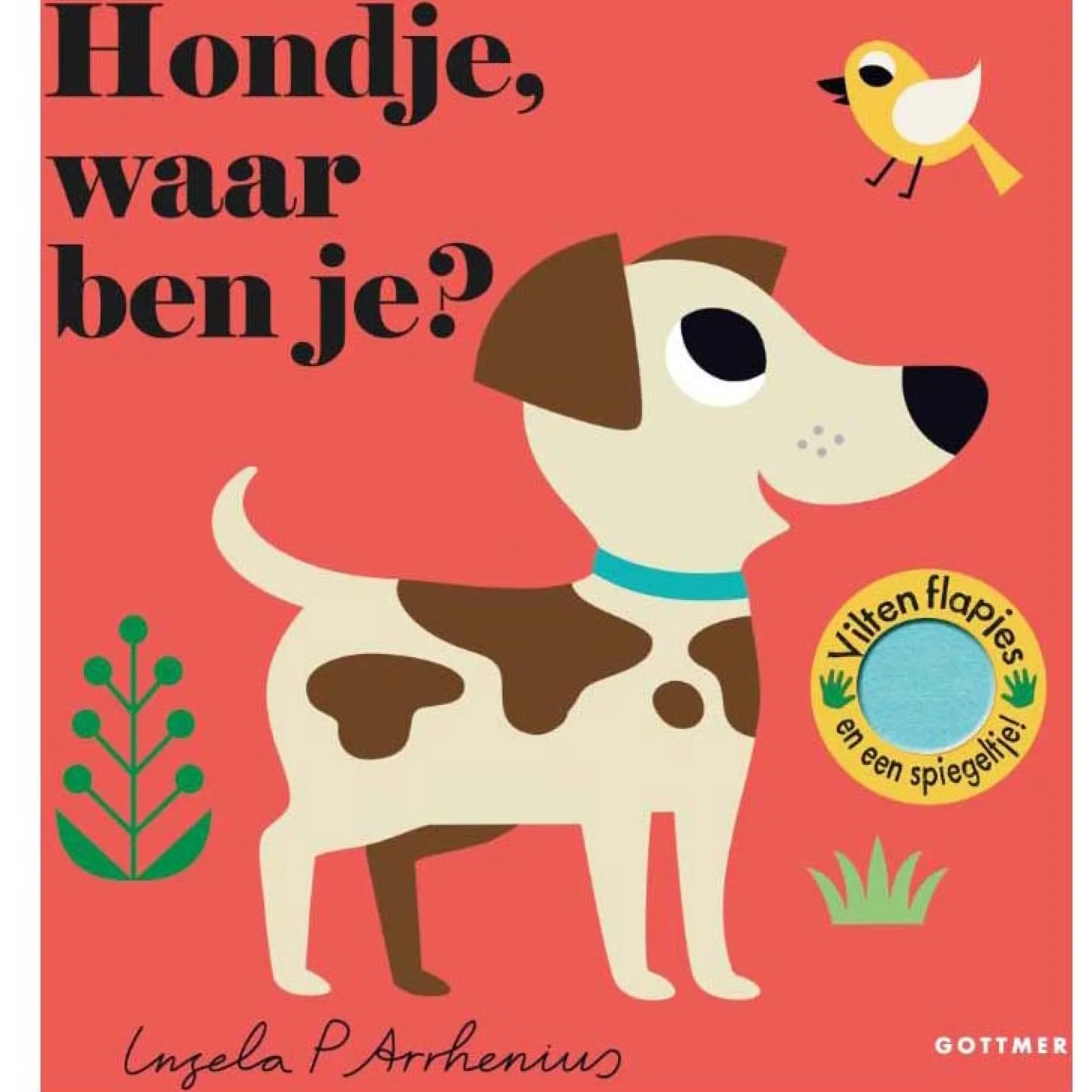 Kinderboeken*Boeken Hondje waar ben je? Multi