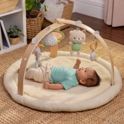 Speelkleden & Babygyms*Ingenuity Every Season activity gym Beigebrown