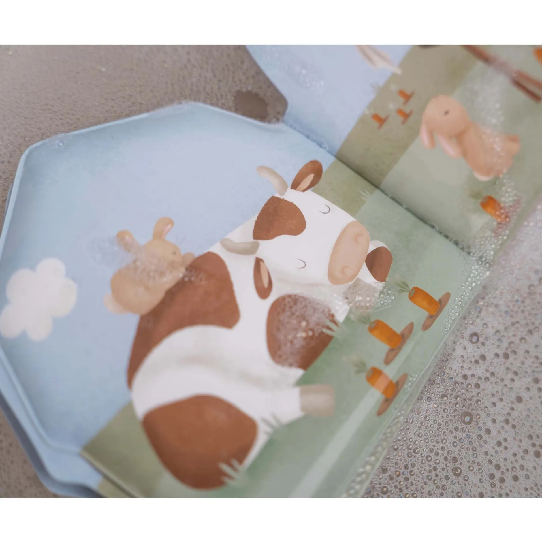 Kinderboeken|Badspeelgoed*Little Dutch badboekje Little farm Multi
