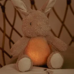 Slaaptrainers*Little Dutch licht en geluid knuffel konijn multi