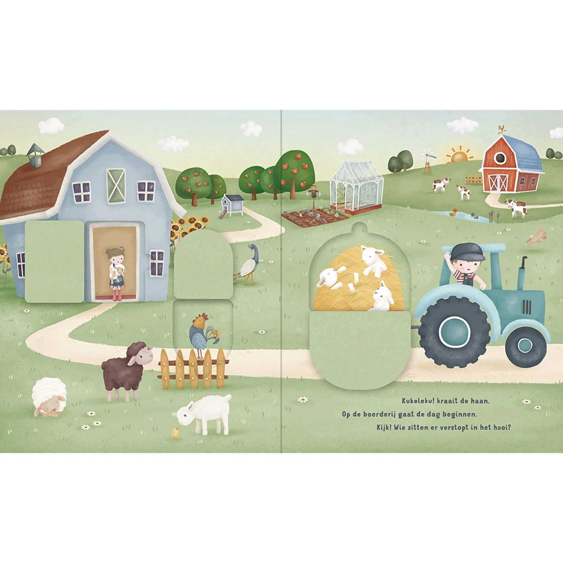 Kinderboeken*Little Dutch mijn flapjesboek boerderij Multi