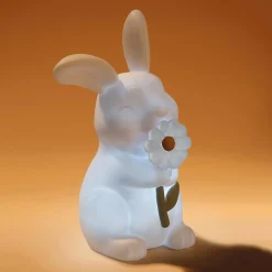 Nachtlampjes*Little Dutch Nachtlampje Konijn multi