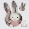 Feestartikelen|Kraamcadeaus*Nijntje giftset fluffy Pink