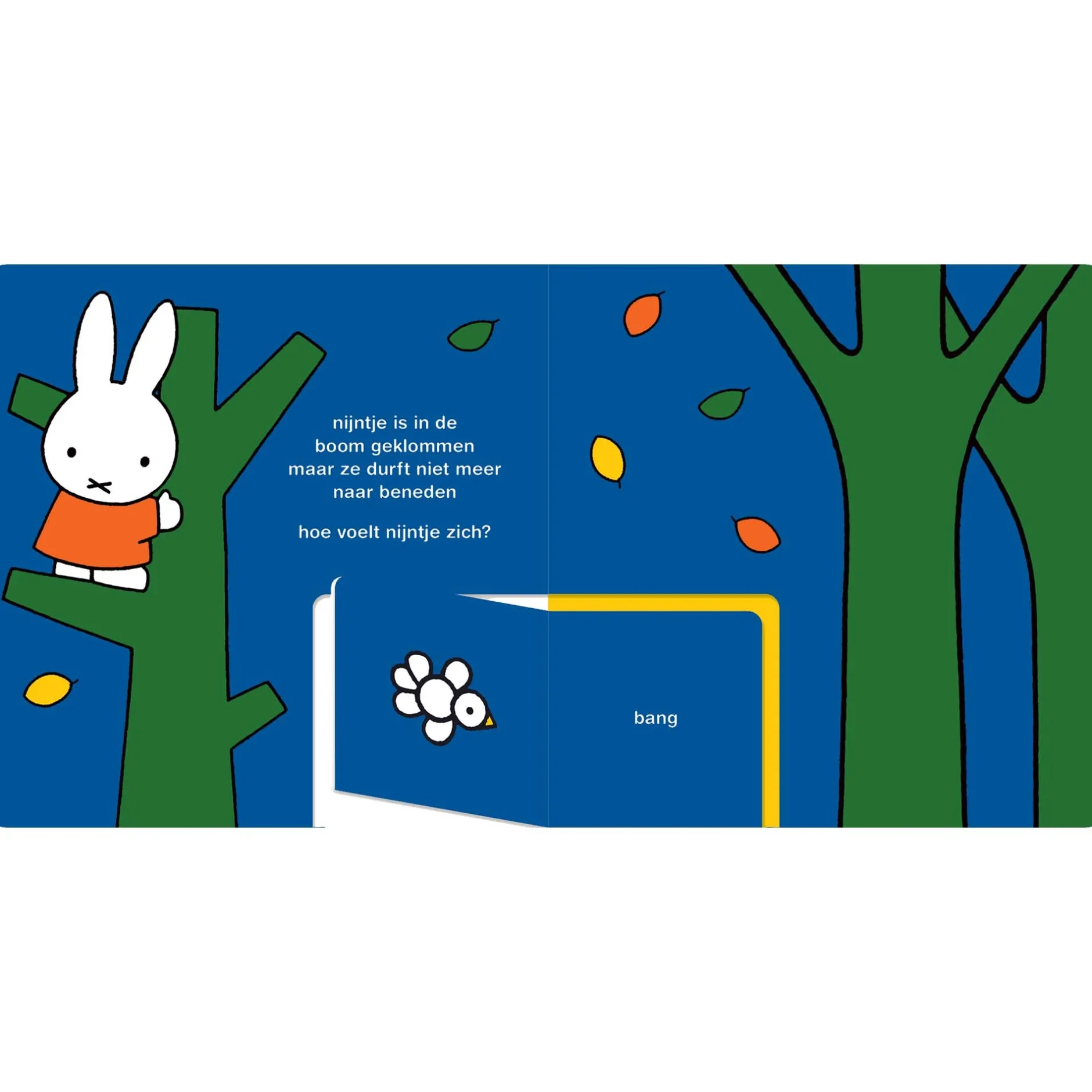 Kinderboeken*Nijntje is blij Multi