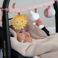 Wagenspanners & Boxspanners|Speelgoed Voor Onderweg*Nijntje wagenspanner Fluffy Pink