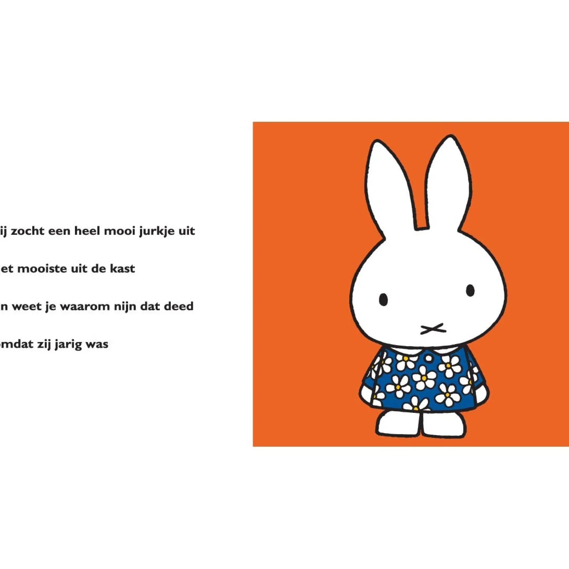 Kinderboeken*Nijntje s voorleesfeest Multi