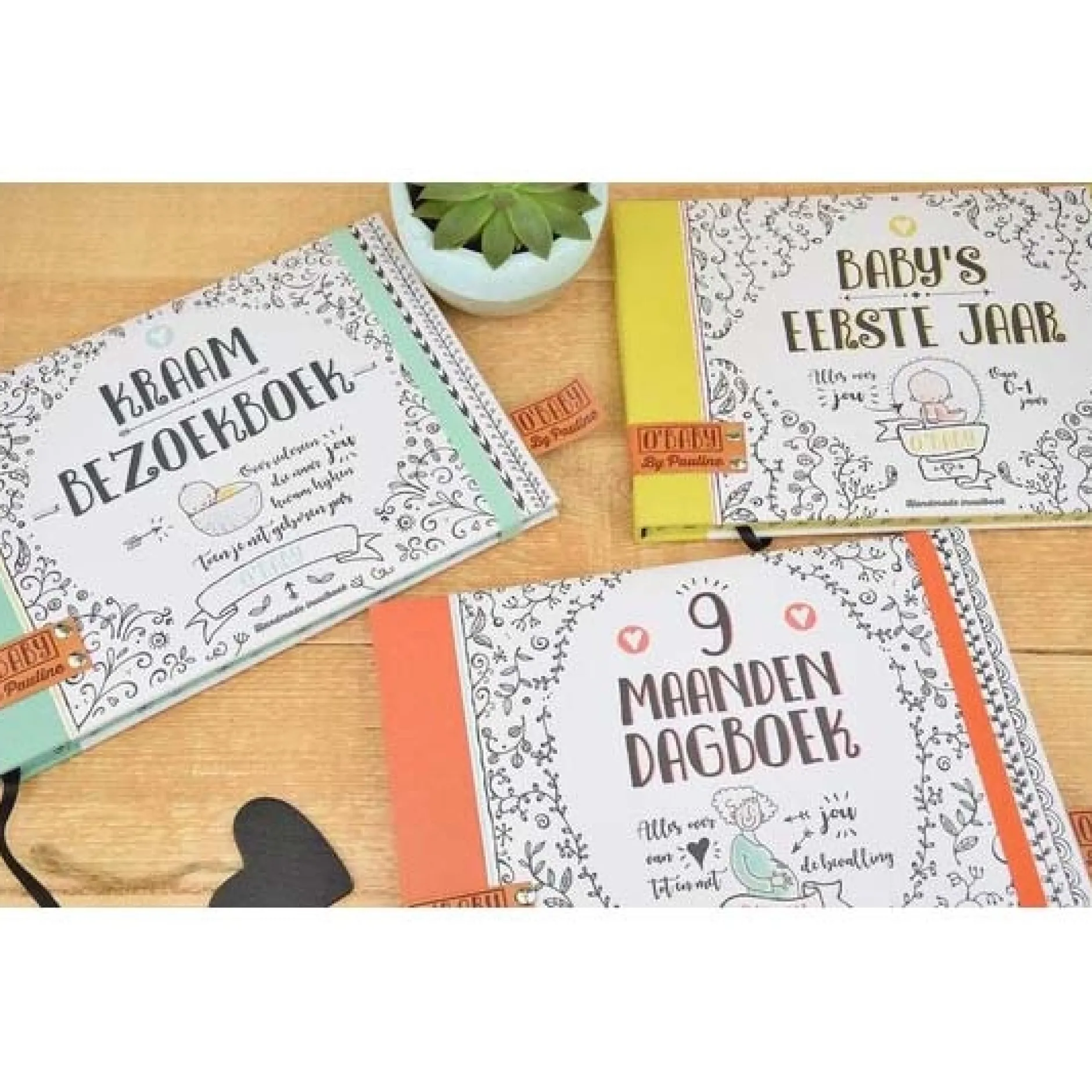 Feestartikelen|Invulboeken*Boeken Pauline O'Baby invulboek eerste jaar Multi