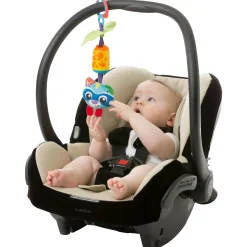 Hangspeelgoed|Speelgoed Voor Onderweg*Playgro hangspeeltje Cheeky Chime Rocky Racoon Multi