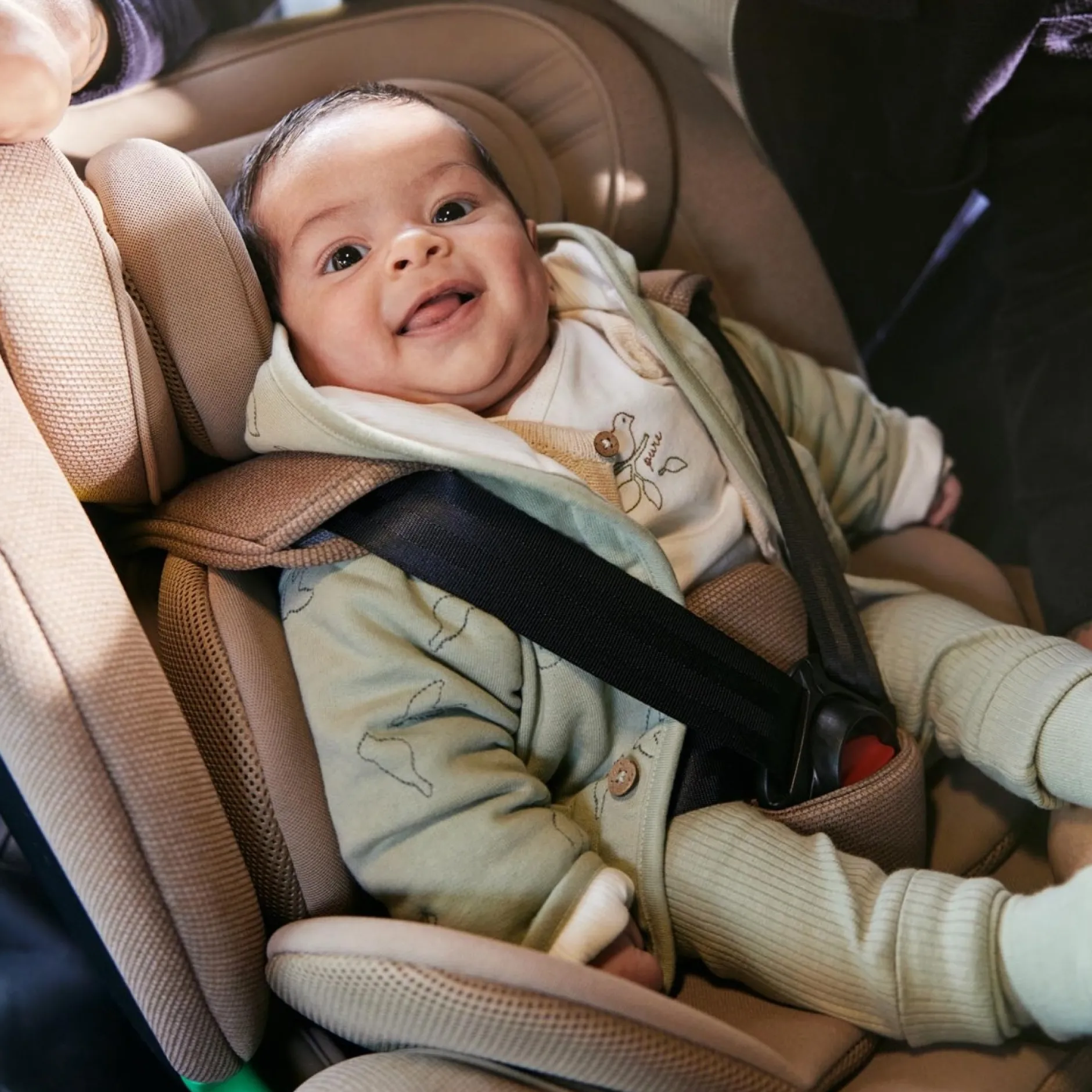 Autostoelen Groep 1*Prénatal autostoel Sam Taupebrown
