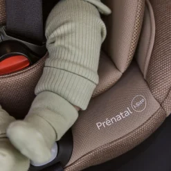 Autostoelen Groep 1*Prénatal autostoel Sam Taupebrown