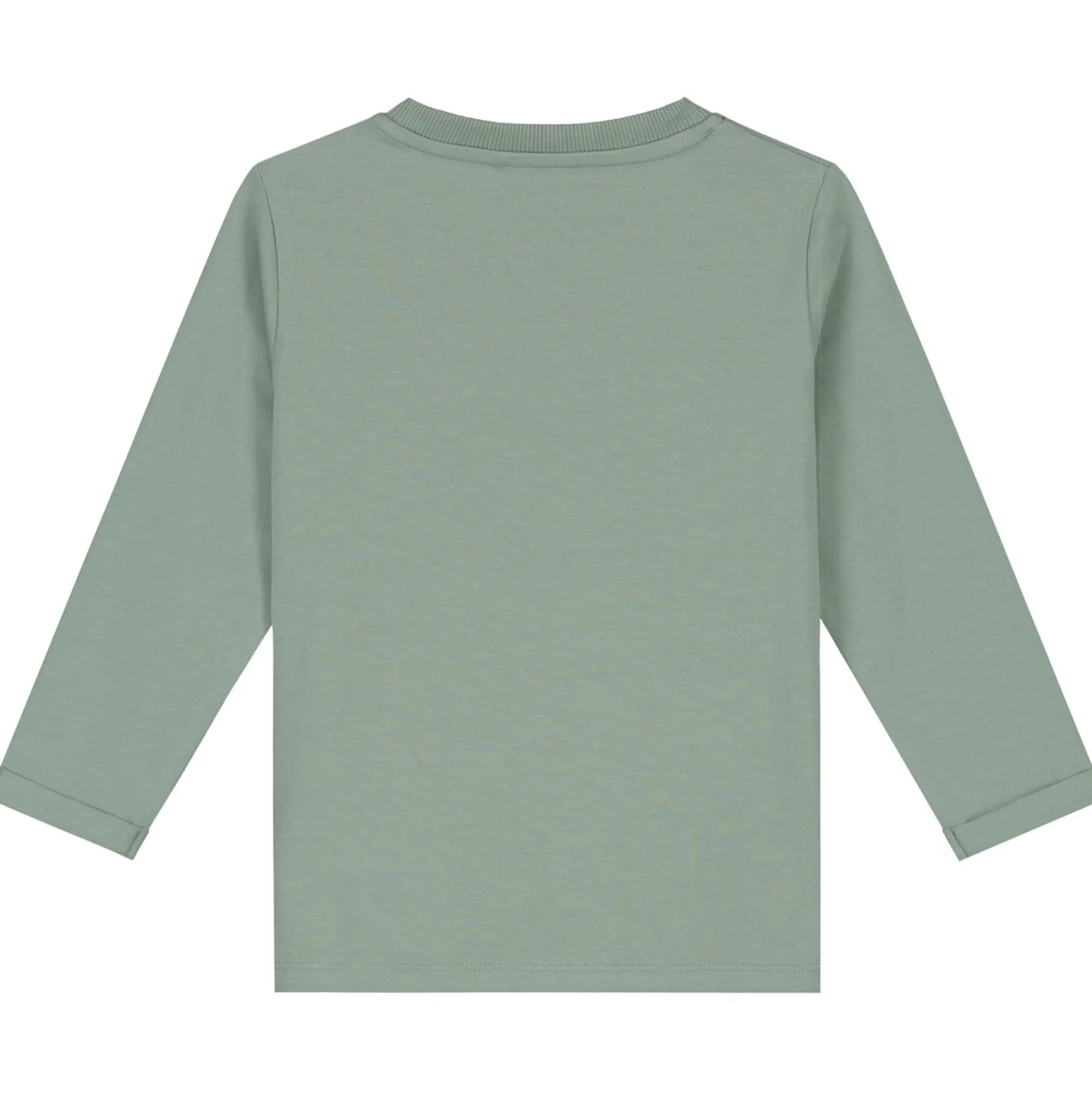 Shirts & Blouses|Shirts & Blouses*Prénatal baby shirt lange mouwen printopdruk groen Midgreen