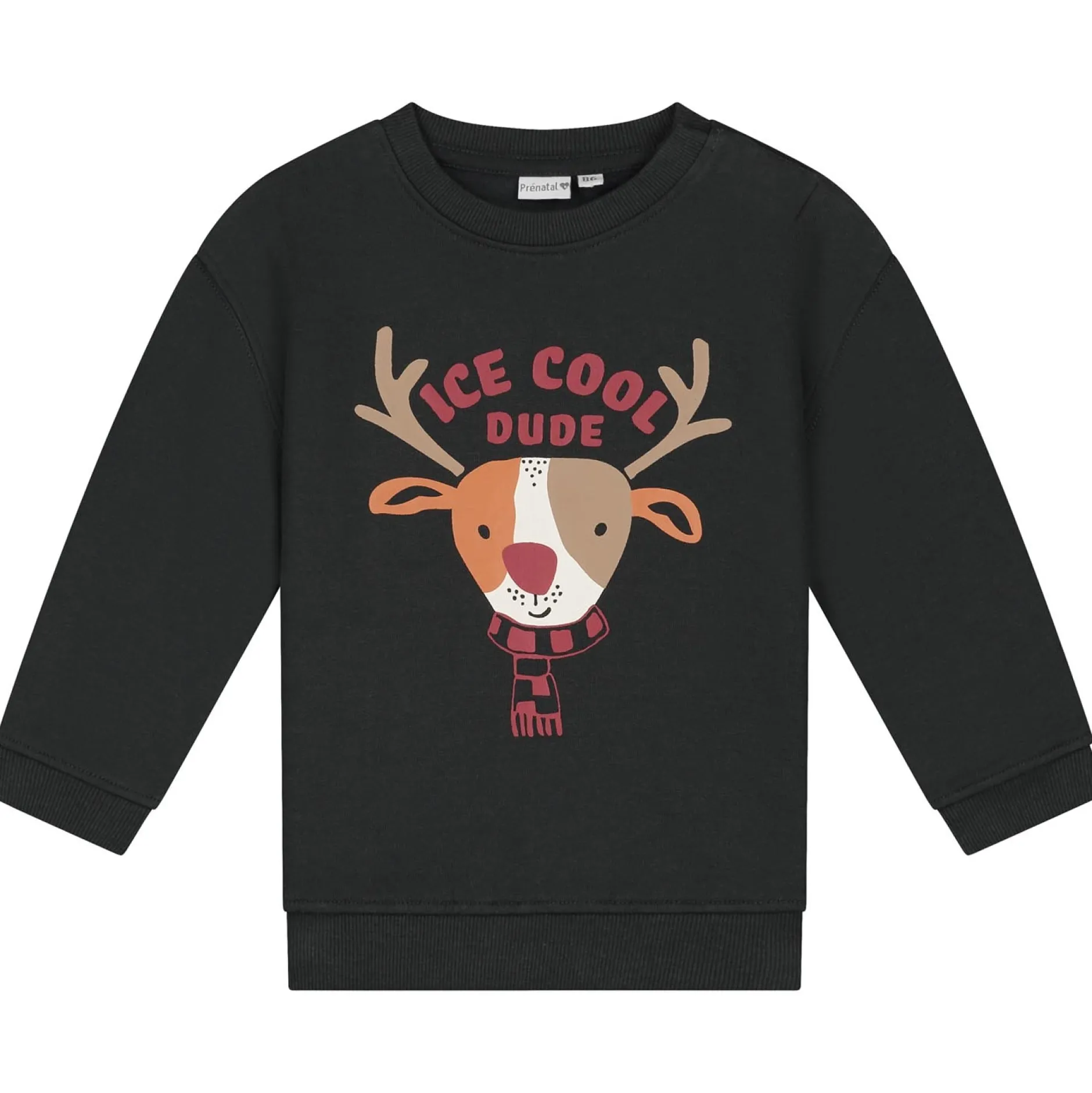 Truien & Vesten|Truien & Sweaters*Prénatal baby sweater lange mouwen printopdruk grijs Grey