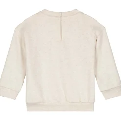 Truien & Vesten|Truien & Sweaters*Prénatal baby sweater lange mouwen printopdruk multi Soft Brown Melange