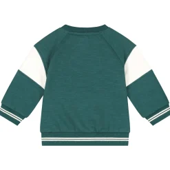 Truien & Vesten|Truien & Sweaters*Prénatal baby sweater lange mouwen meerkleurig groen Green Blue