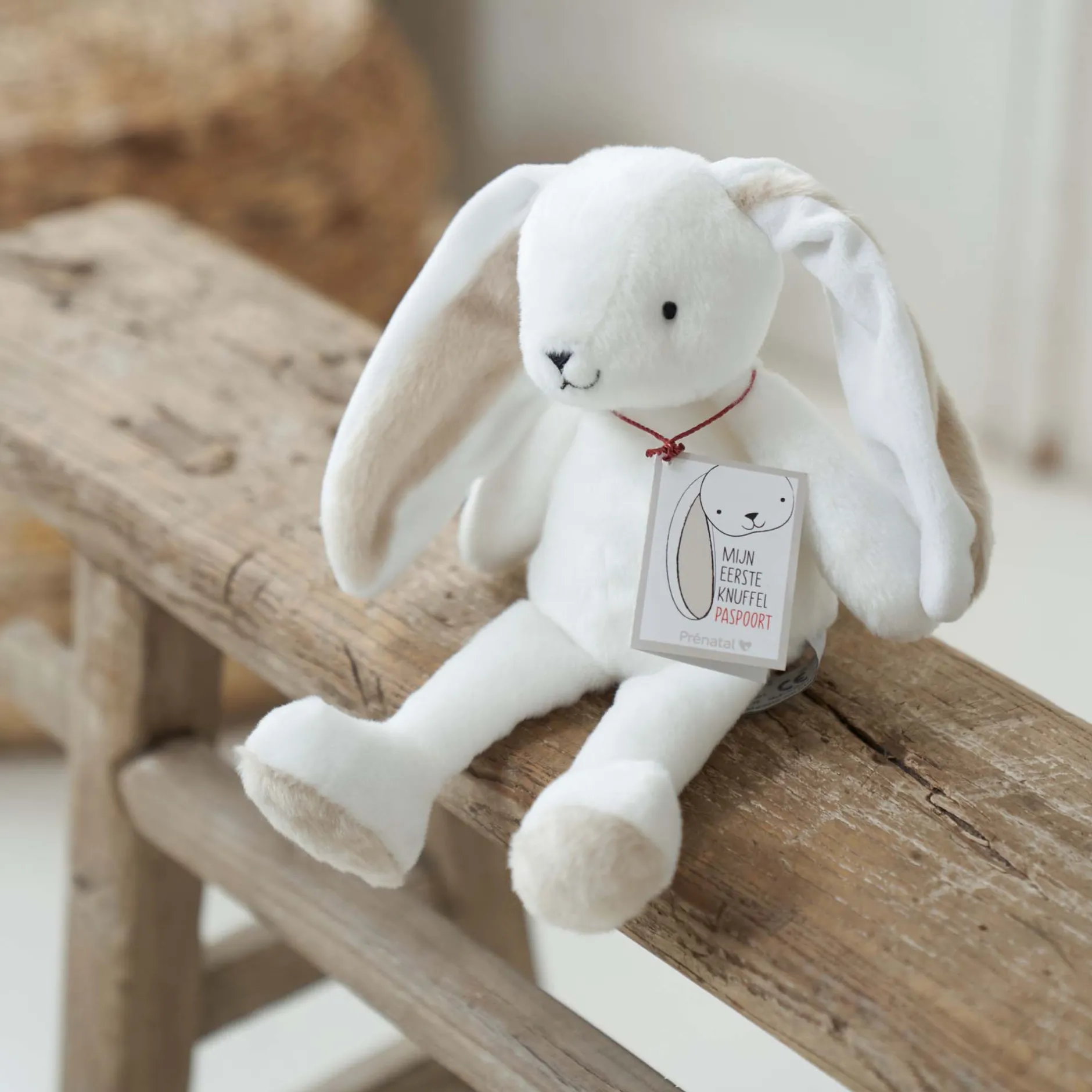 Feestartikelen|Knuffels*Prénatal knuffel My First Bunny White