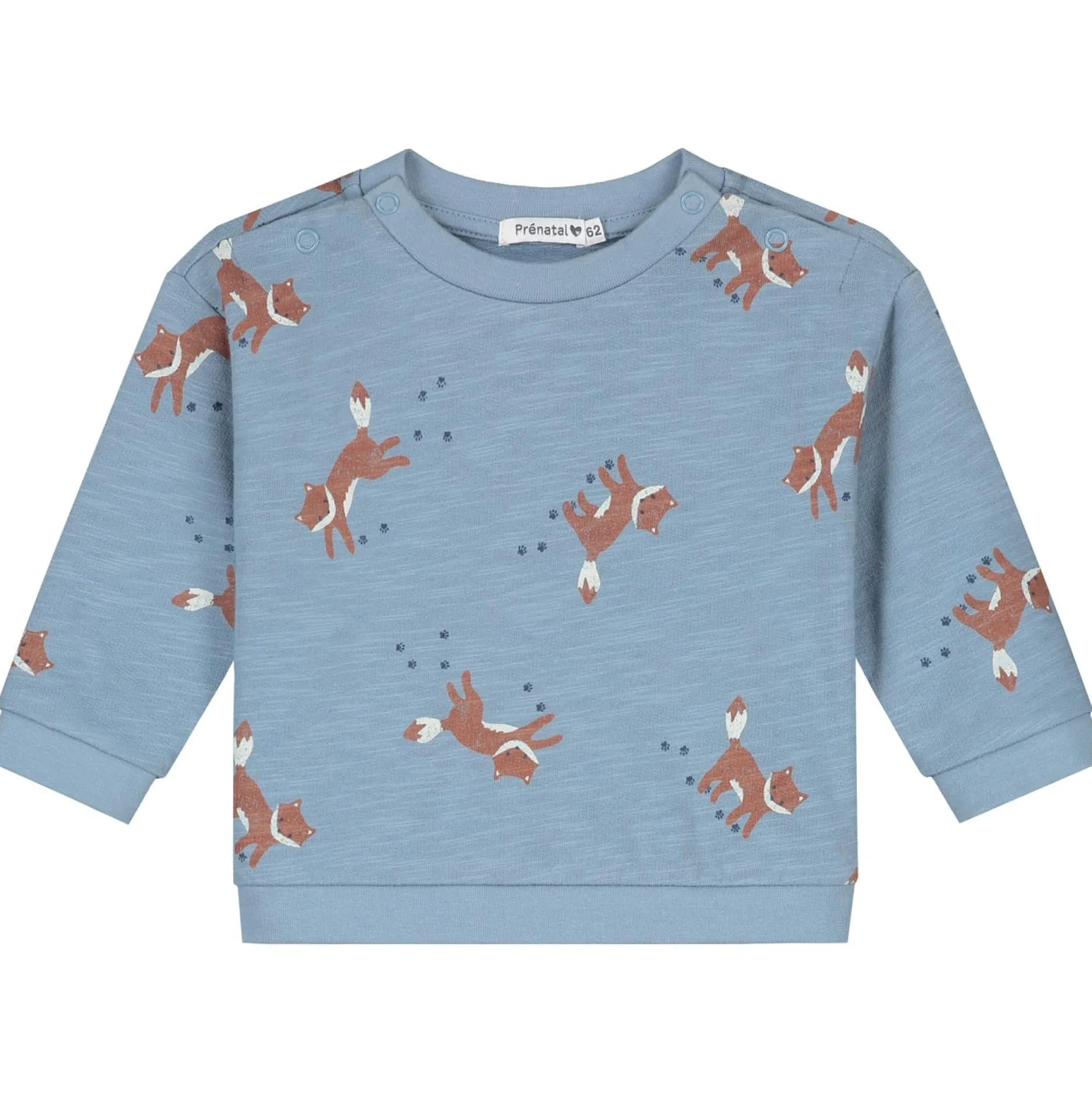 Truien & Vesten|Truien & Vesten*Prénatal newborn sweater lange mouwen dierenprint blauw Powder Blue