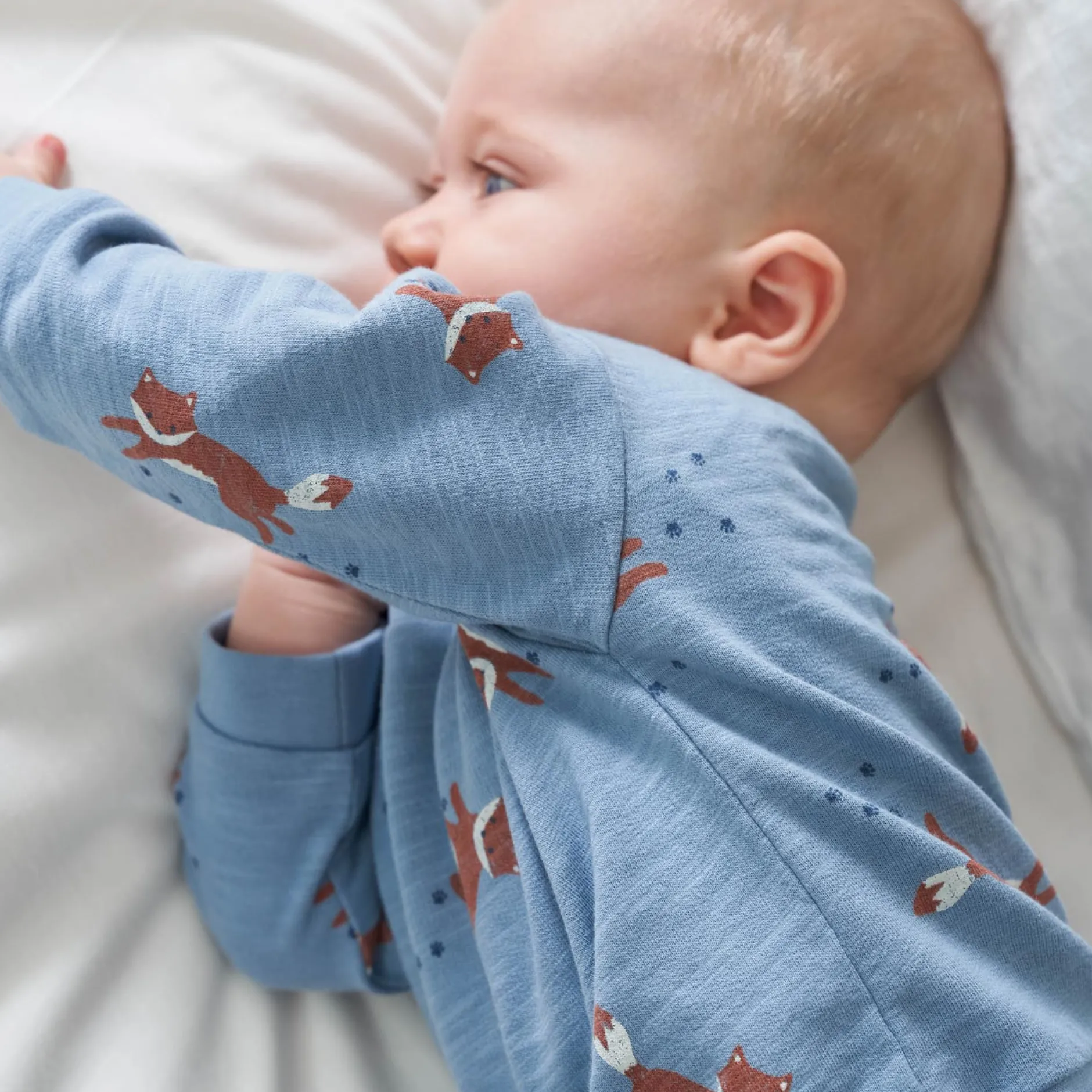 Truien & Vesten|Truien & Vesten*Prénatal newborn sweater lange mouwen dierenprint blauw Powder Blue