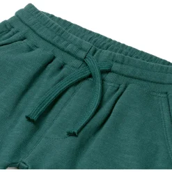 Broeken & Tuinbroeken|Broeken & Leggings*Prénatal peuter broek  effen groen Green Blue