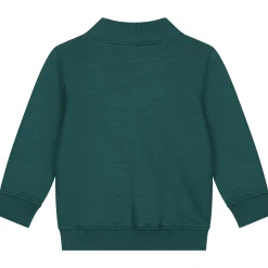 Truien & Vesten|Truien & Sweaters*Prénatal peuter sweater lange mouwen effen groen Green Blue