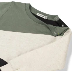 Truien & Vesten|Truien & Sweaters*Prénatal peuter sweater lange mouwen meerkleurig groen Light Khaki Green
