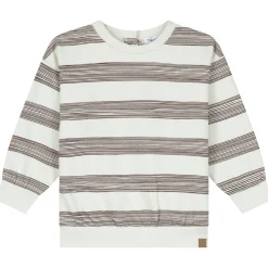 Truien & Vesten|Truien & Sweaters*Prénatal peuter sweater lange mouwen strepen bruin Chocolatbrown