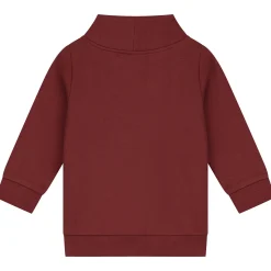 Truien & Vesten|Truien & Sweaters*Prénatal peuter sweater lange mouwen effen rood Dark Brown Red