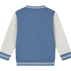 Truien & Vesten|Vesten*Prénatal peuter vest lange mouwen meerkleurig blauw Royal Blue