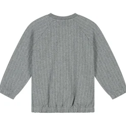 Truien & Vesten|Vesten*Prénatal peuter vest lange mouwen strepen grijs Dark Stone Melange