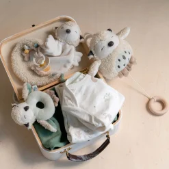 Rammelaars*Prénatal rammelaar Kleine Vriendjes Ivory White