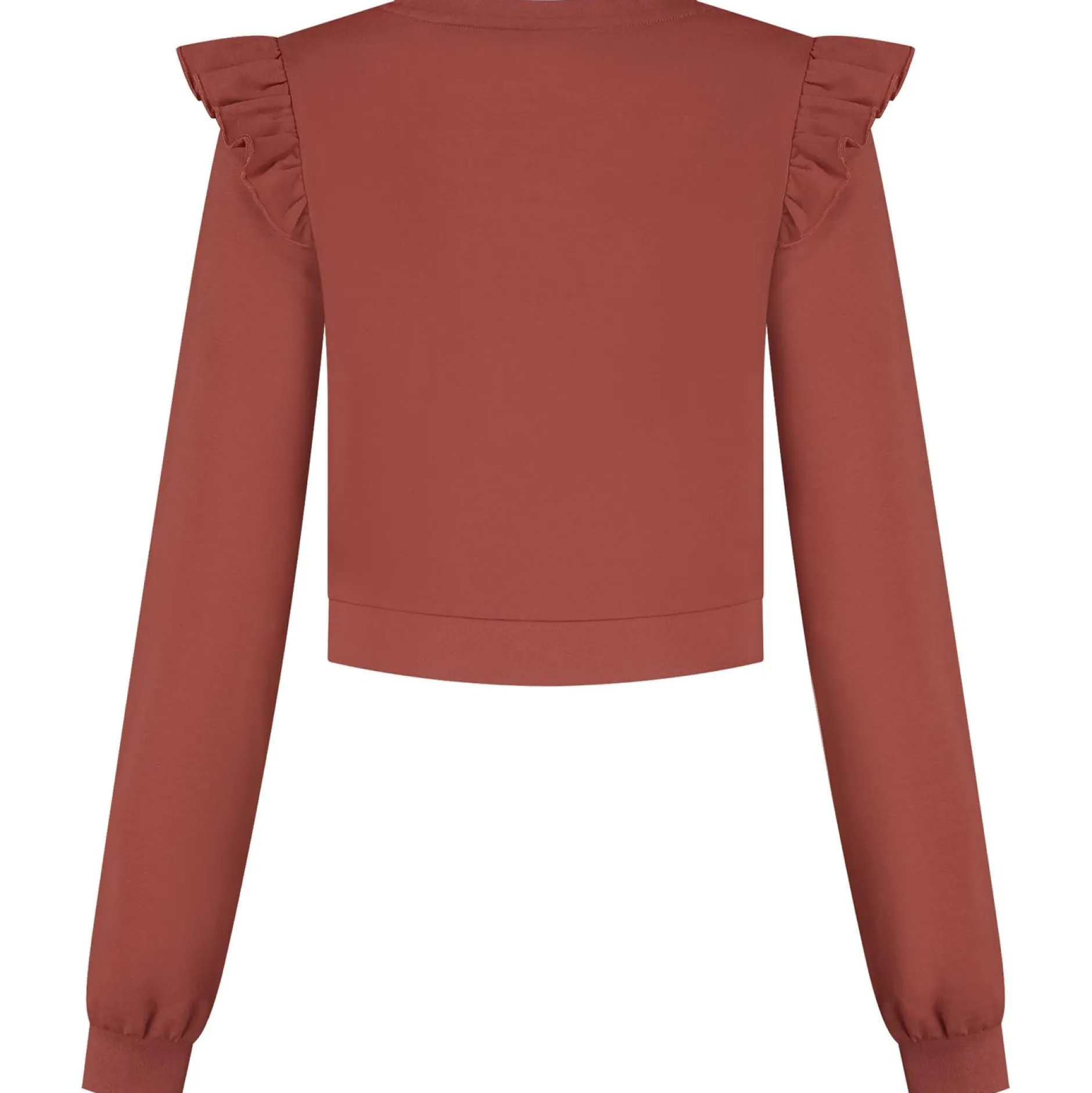 Truien & Vesten*Prénatal zwangerschapssweater lange mouwen effen rood Sienna