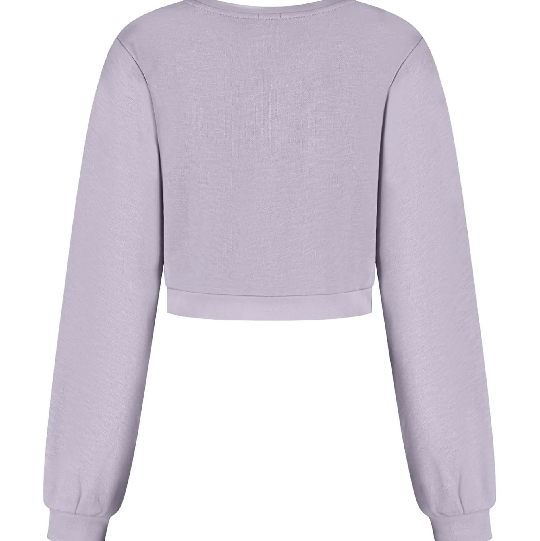 Truien & Vesten*Prénatal zwangerschapssweater lange mouwen effen paars Light Purple