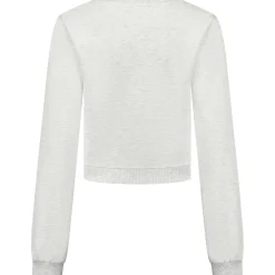 Truien & Vesten*Prénatal zwangerschapstop lange mouwen effen grijs Soft Grey Melange