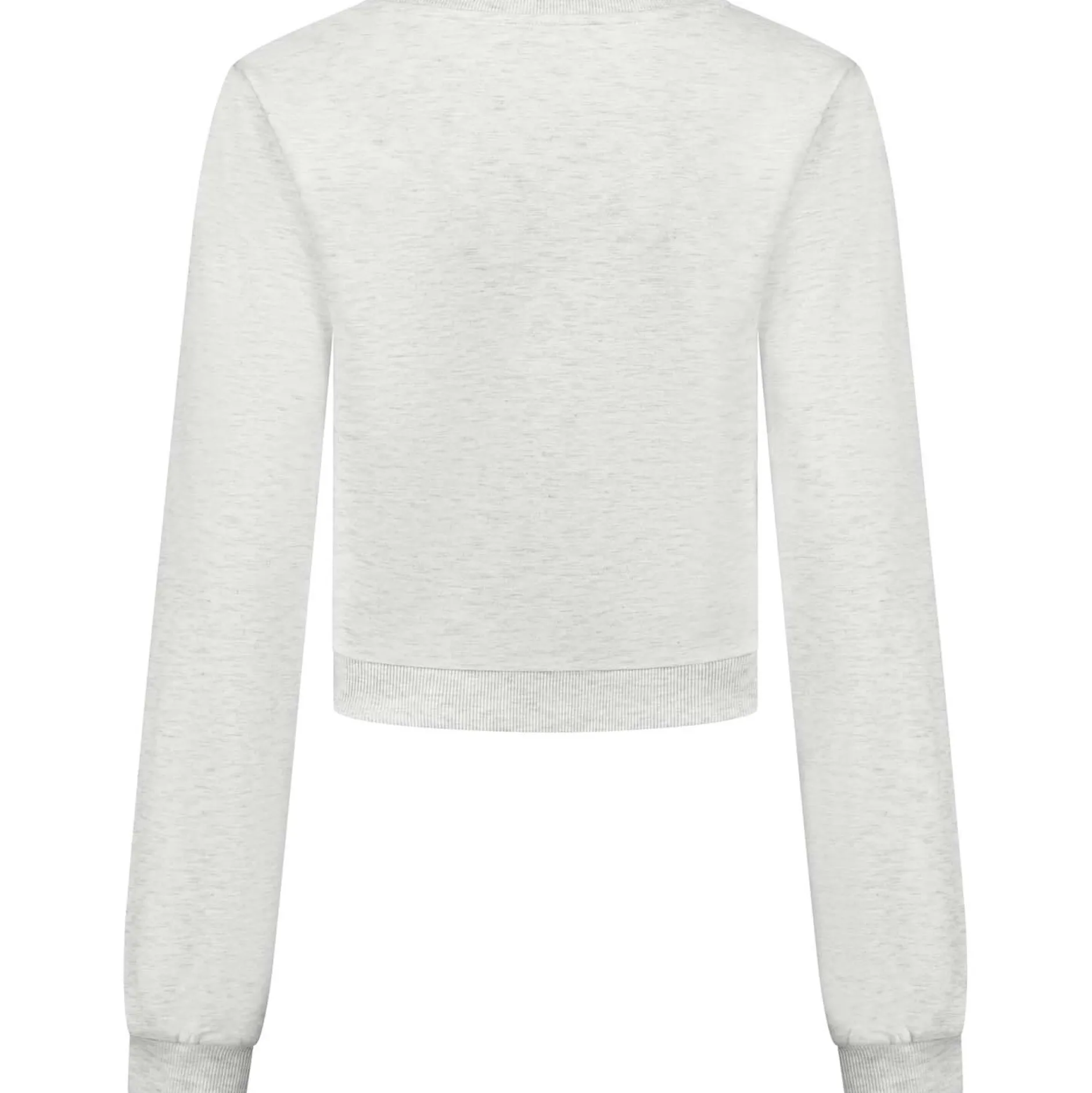 Truien & Vesten*Prénatal zwangerschapstop lange mouwen effen grijs Soft Grey Melange