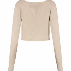 Truien & Vesten*Prénatal zwangerschapstrui lange mouwen effen beige Light Brown Melange