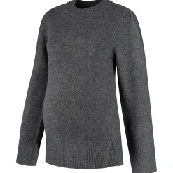 Truien & Vesten*Prénatal zwangerschapstrui lange mouwen effen grijs Dark Graphite Melang