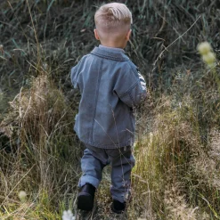 Truien & Vesten|Vesten*Sweet Petit peuter blouse Zeb lange mouwen effen grijs Dark Grey Denim