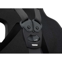 Fietsstoeltjes*Thule Yepp Nexxt 2 Maxi Blue