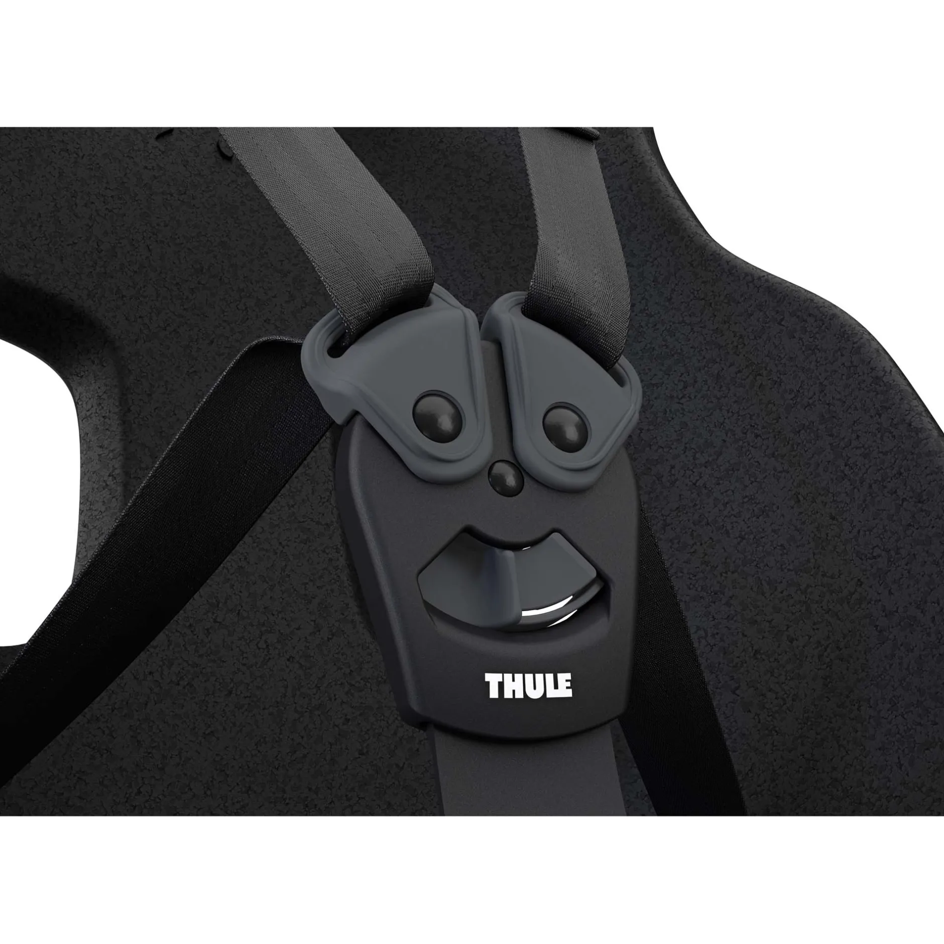 Fietsstoeltjes*Thule Yepp Nexxt 2 Maxi Blue