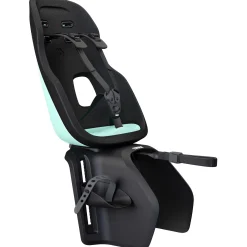 Fietsstoeltjes*Thule Yepp Nexxt 2 Maxi Mintgreen