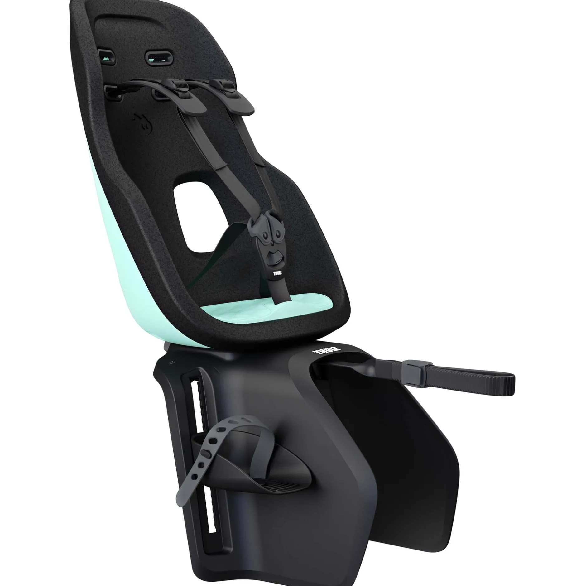 Fietsstoeltjes*Thule Yepp Nexxt 2 Maxi Mintgreen