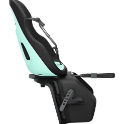 Fietsstoeltjes*Thule Yepp Nexxt 2 Maxi Mintgreen