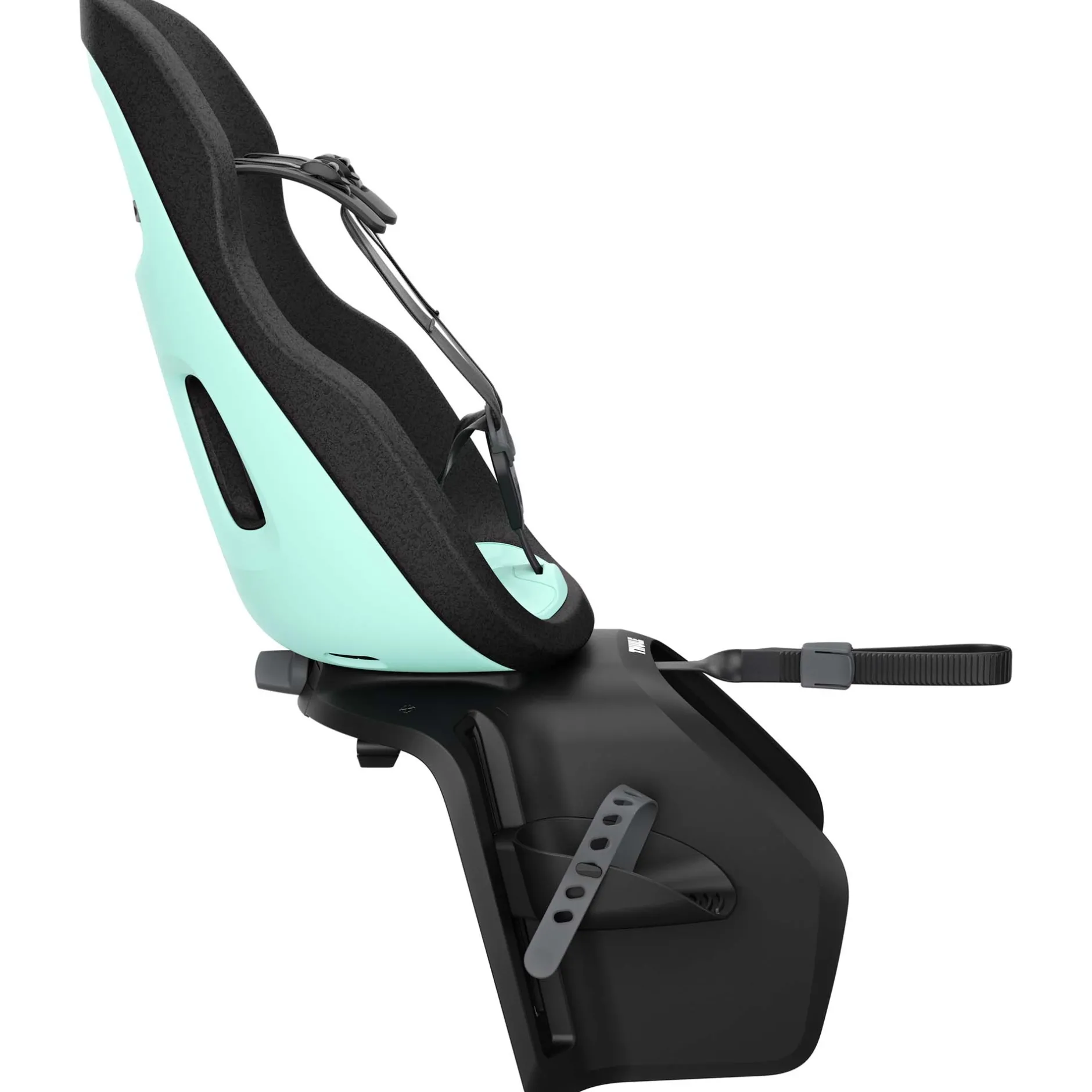 Fietsstoeltjes*Thule Yepp Nexxt 2 Maxi Mintgreen