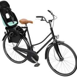 Fietsstoeltjes*Thule Yepp Nexxt 2 Maxi Mintgreen