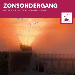 Projectors*Zazu projector Henry de Egel bruin